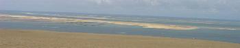 Banc d'Arguin