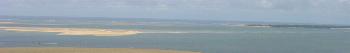 Banc d'Arguin