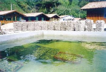 Avant d'être mises en bourriches et expédiées, les huîtres reposent quelques jours dans des bassins dégorgeoirs ; les "claires".