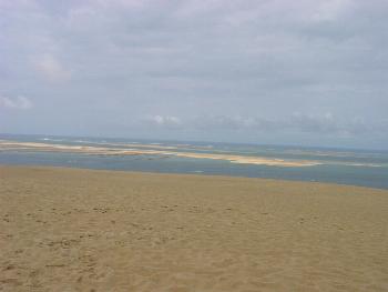 Banc d'Arguin
