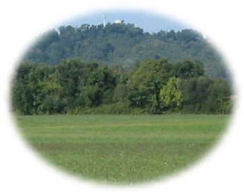 Prairie, forêt et château d'eau