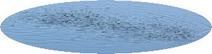 Banc de petits poissons