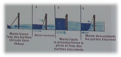 Portes à flots ou trompes