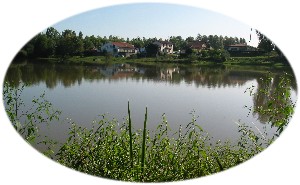 Reflets sur l'Adour