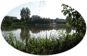 Reflets dans l'Adour