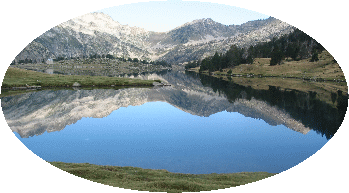 Reflets