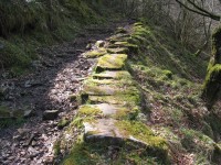 Muret de pierres