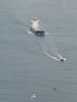 Paquebot, bateau-pilote, kayaks et mouette