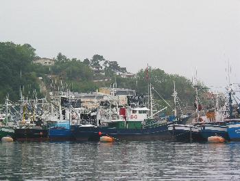 Port de p&ecirc;che de Fontarrabie