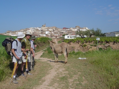 RB64-Sur les chemins de Saint-Jacques