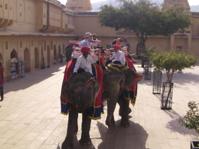 RB64-Circuit au Rajasthan