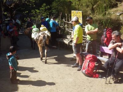 RB64-Langtang et Gosainkund (2 treks)