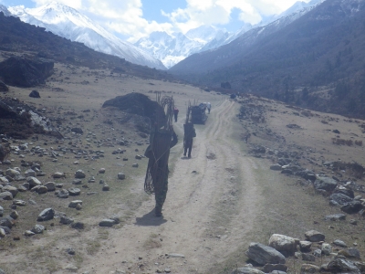 RB64-Langtang et Gosainkund (2 treks)