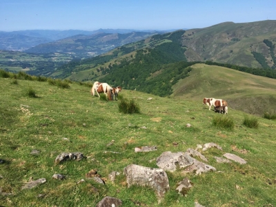 RB64-Buztanzelhay et Astate depuis Baïgorri