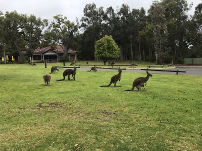 RB64-Australie