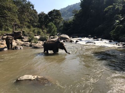 RB64-Thaïlande et Myanmar