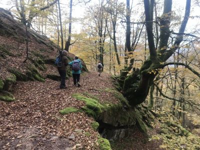 RB64-Vallon de Beartzun