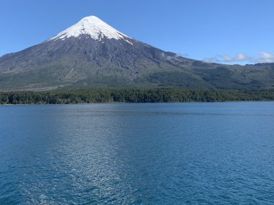 RB64-Chili : Patagonie, Araucania