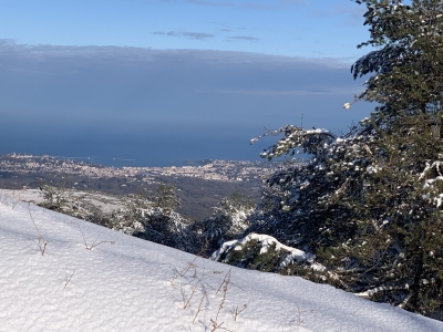 RB64-Sur le massif enneigé de la Rhune