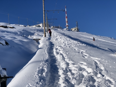 RB64-Sur le massif enneigé de la Rhune