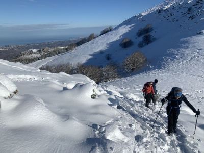 RB64-Sur le massif enneigé de la Rhune