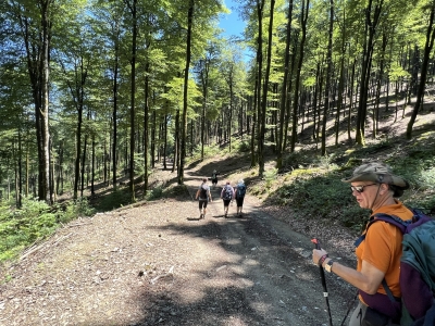 RB64-Txaruta depuis le col de Velate