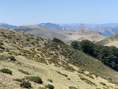 RB64-Larrakarte depuis le col de Garzela