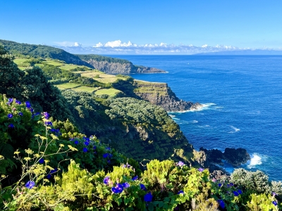 RB64-Île de Terceira (Açores)