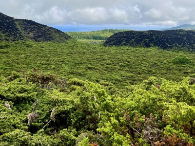 RB64-Île de Terceira (Açores)