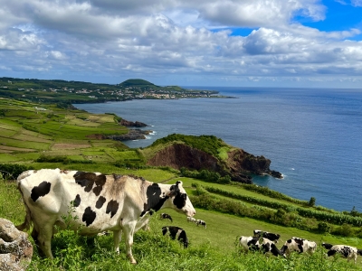 RB64-Île de Terceira (Açores)