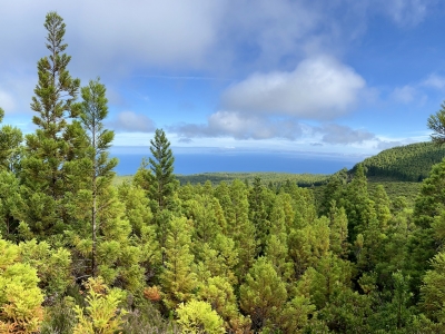 RB64-Île de Terceira (Açores)