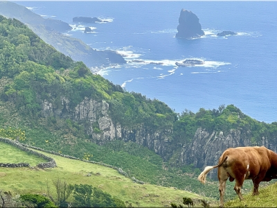 RB64-Terceira, Flores, Corvo (Açores)