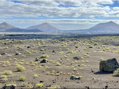 RB64-Lanzarote