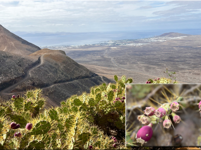 RB64-Lanzarote