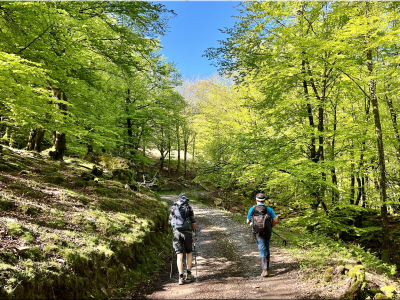 RB64-Legate et Larratzu depuis Lekaroz