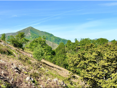 RB64-Nord d'Iparla depuis Bidarray