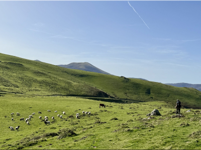 RB64-Beillurti depuis Arnéguy