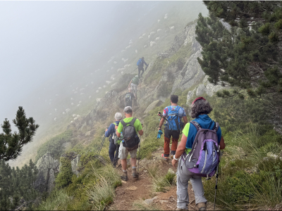 RB64-Le Pic de Viscos