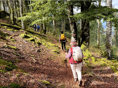RB64-La Vallée des Aldudes par les crêtes