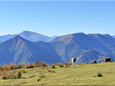 RB64-Artzamendi et Malda