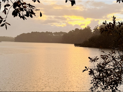 RB64-Circuit étangs et forêt à Seignosse