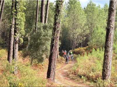 RB64-Circuit étangs et forêt à Seignosse