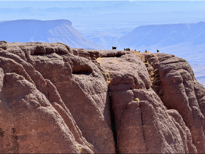 RB64-Trek dans le Djebel Saghro