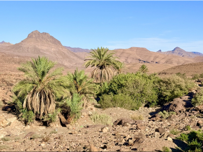 RB64-Trek dans le Djebel Saghro