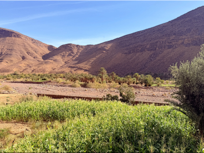 RB64-Trek dans le Djebel Saghro