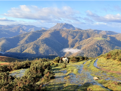 RB64-Mandalé depuis Biriatou