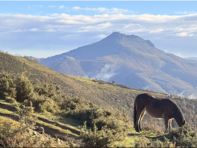 RB64-Mandalé depuis Biriatou
