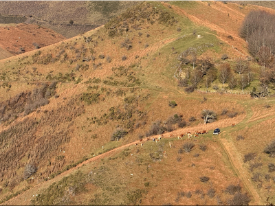 RB64-Boucle Gorospil depuis Dancharia