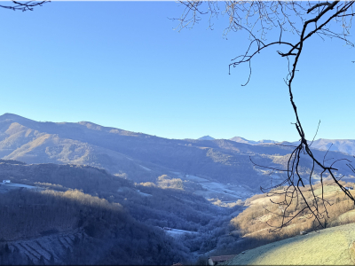 RB64-Col de Narbalatz depuis Etxalar