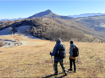 RB64-Col de Narbalatz depuis Etxalar